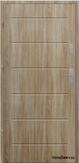 PORTE EXTÉRIEURE POLONAISE T42 55 mm polystyrène 100