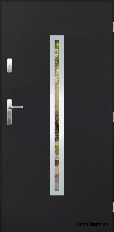 Porta esterna con specchio W-12 INOX 70/80/90/100 Porta esterna con specchio W-12 INOX 70/80/90/100