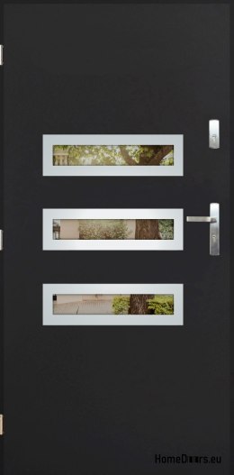 Porta esterna con specchio W-4 INOX 70/80/90/100
