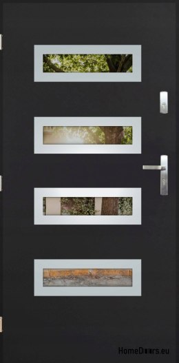 Porta esterna con specchio W-6 INOX 70/80/90/100
