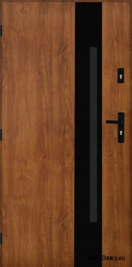 Porte esterne in acciaio lucido 55mm Tango 04 80 sinistra rovere dorato