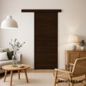 Porta scorrevole montata a parete ALFA + sistema scorrevole BIRCH FATHERS DARK 85