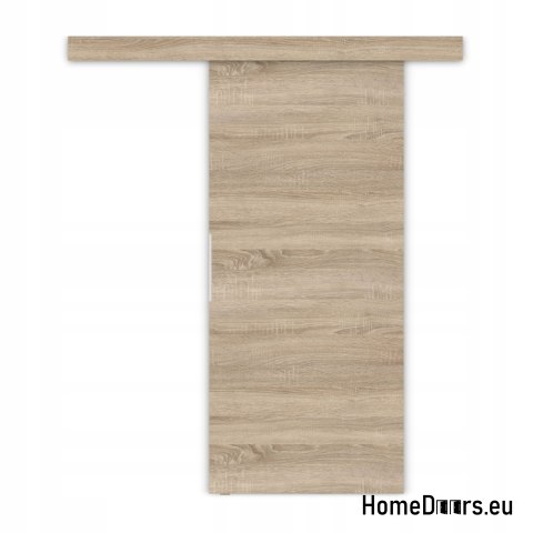 Porta scorrevole montata a muro ALFA + sistema scorrevole BIRCH FATHERS DARK 95